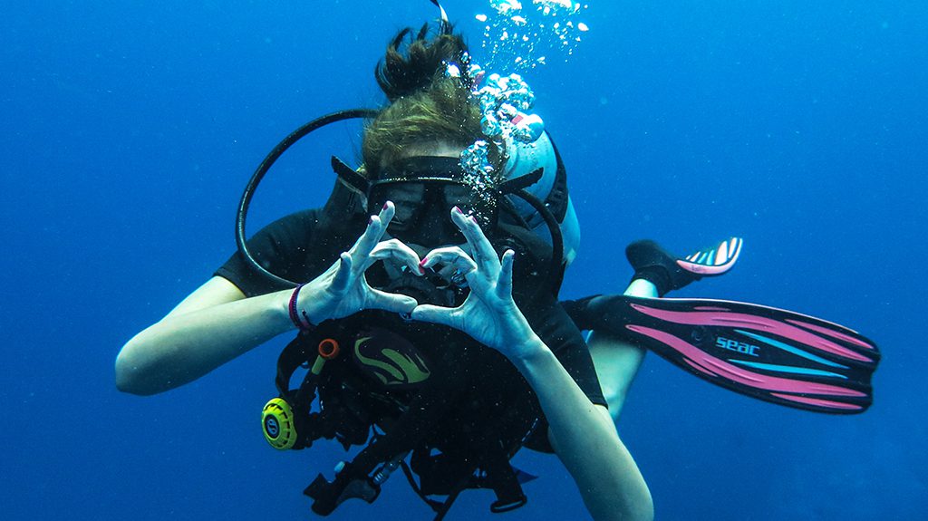 Tauchausflug zu Sail Rock oder Koh Tao