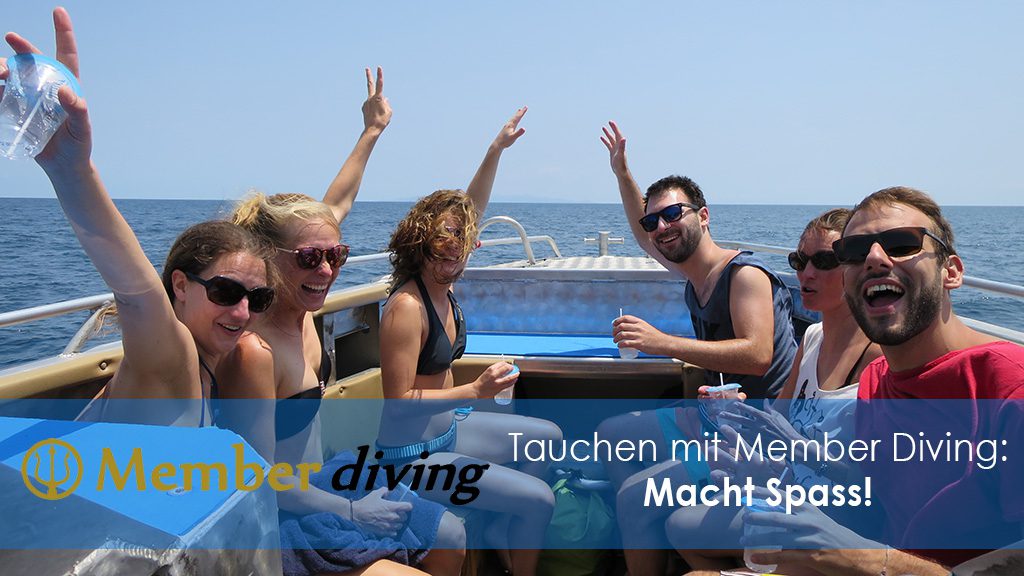Tauchkurse und Tauchausflug mit Member Diving
