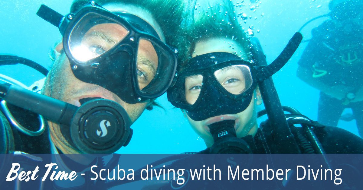 Come on a diving trip - around Koh Samui, Koh Tao and Sail Rock.