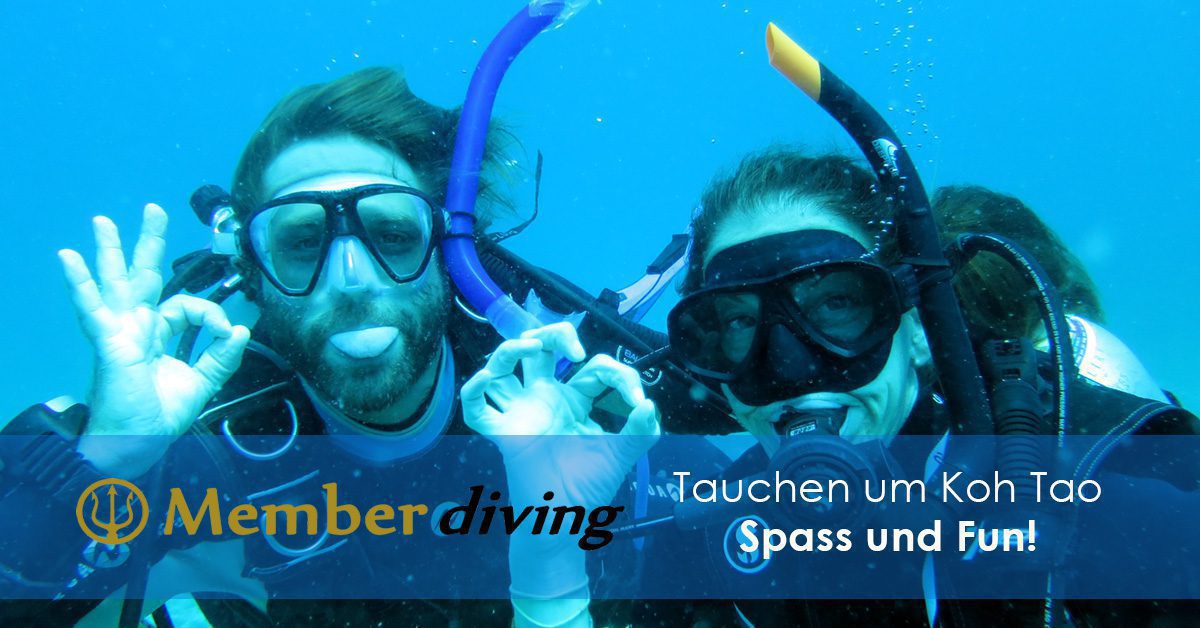 Tauchausflug mit Member Diving