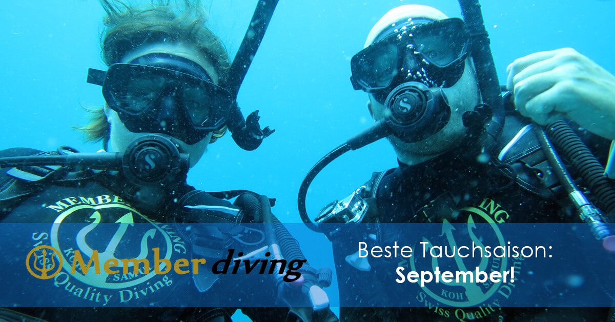 Tauchkurse und Tauchen mit Member Diving