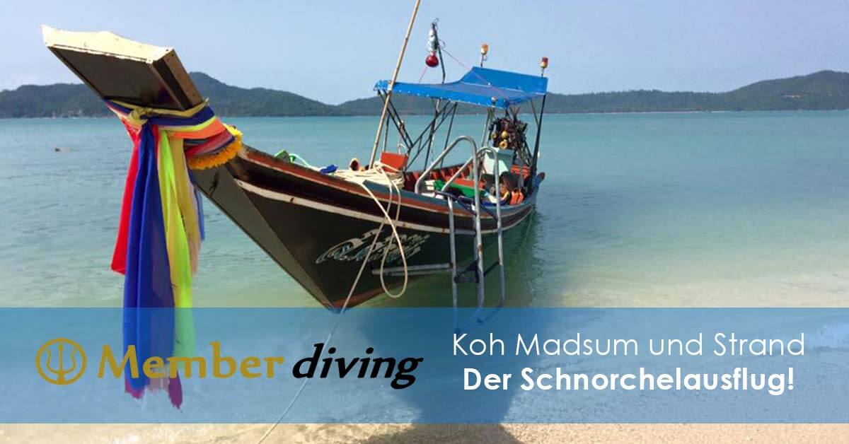 Schnorchelausflug mit Member Diving
