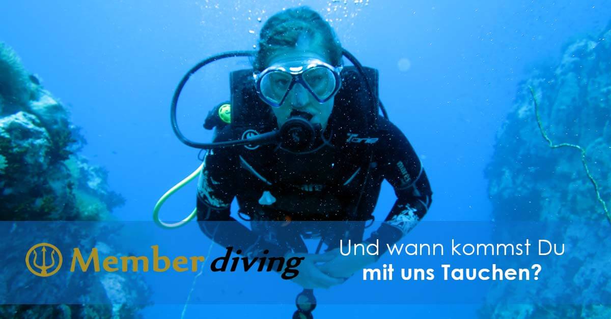 Und wann kommst Du Tauchen