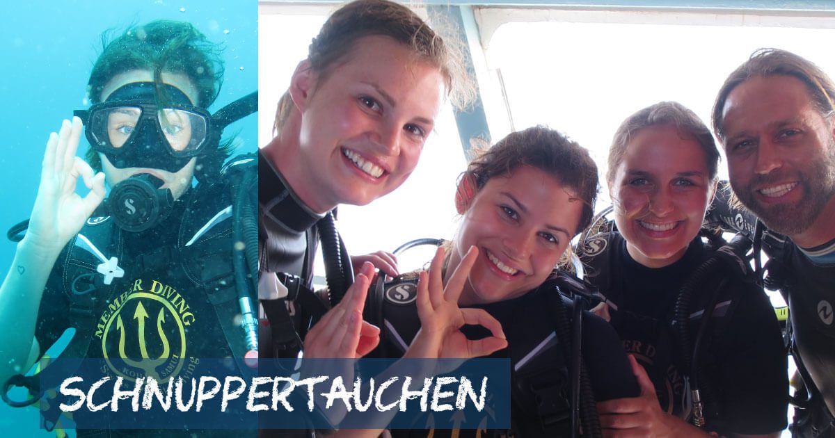 Schnuppertauchen, Divover Scuba Diver, Try Scuba