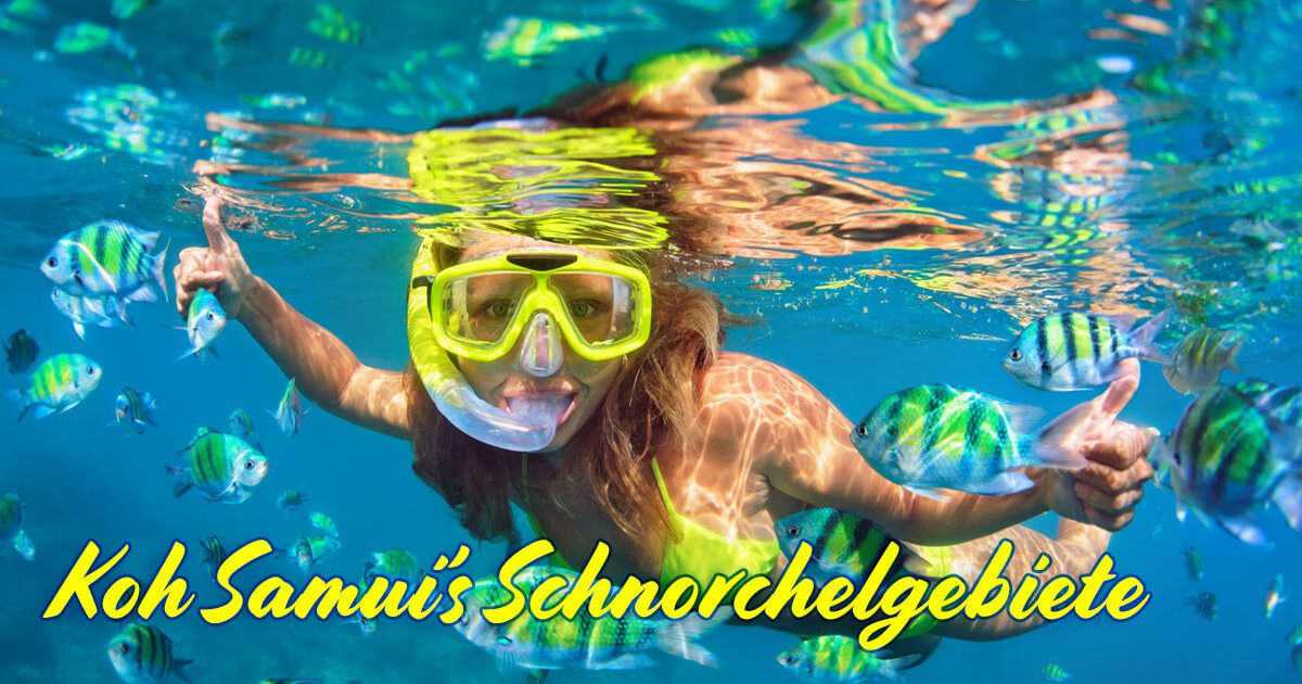 Schnorcheln und Wasser