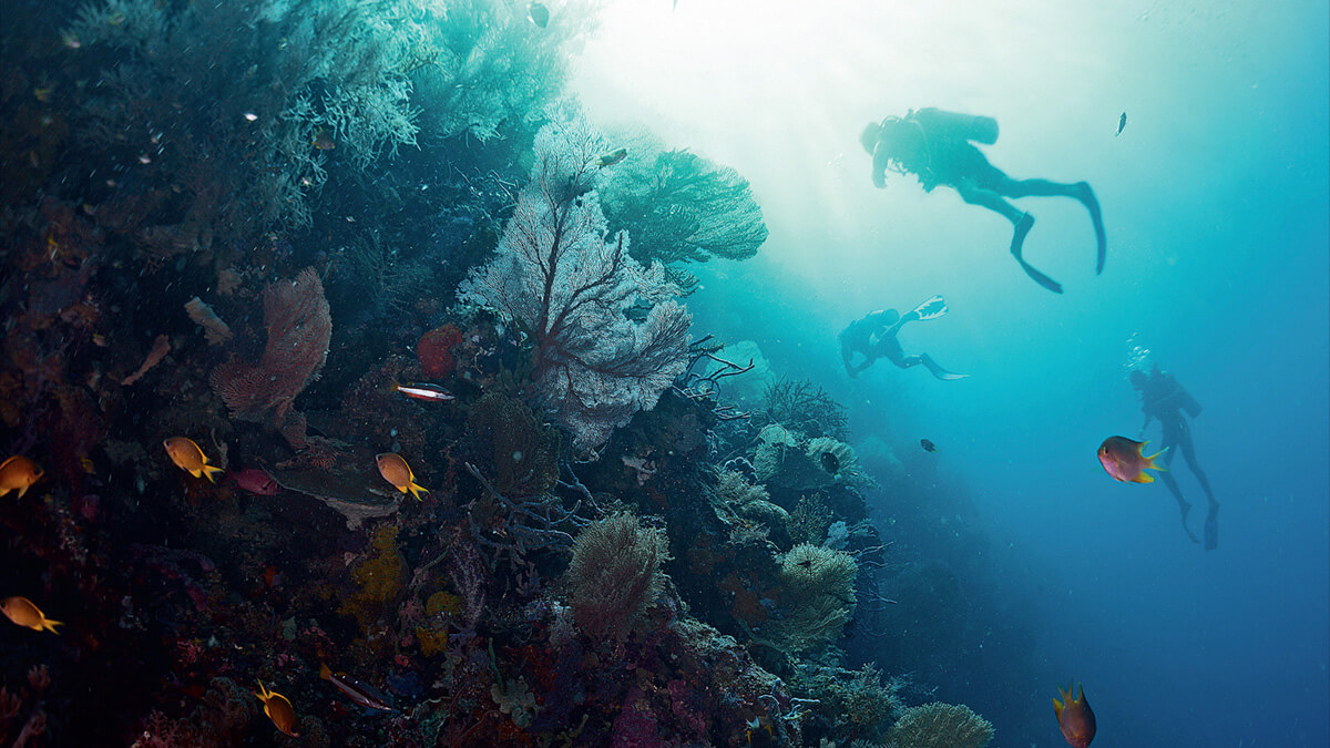 Divemaster Course