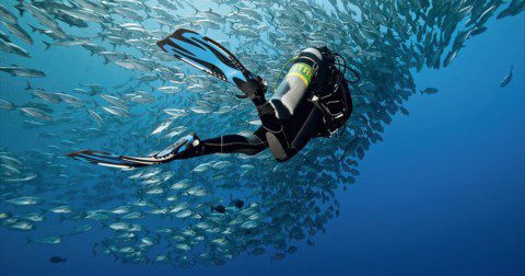 Enriched Air / Nitrox Dive Course
