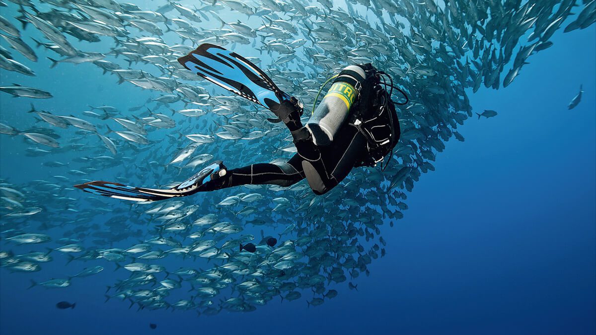 Enriched Air / Nitrox Dive Course