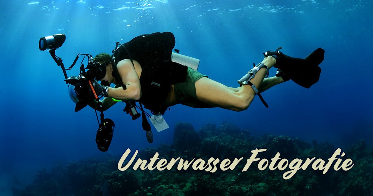 Welche Kamera für die Unterwasser Fotografie?