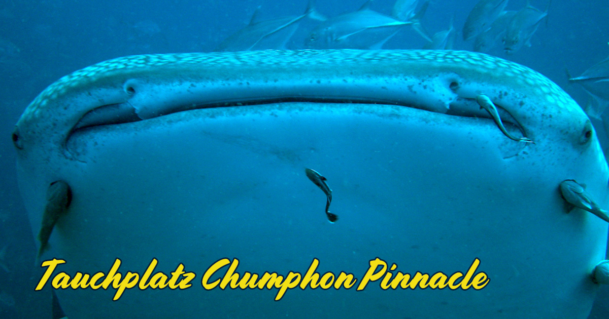 Tauchplatz Chumphon Pinnacle