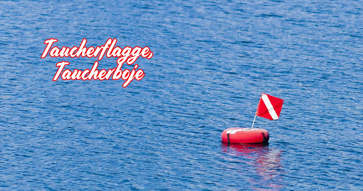 Tauchferlagge, Taucherboje und Signalboje