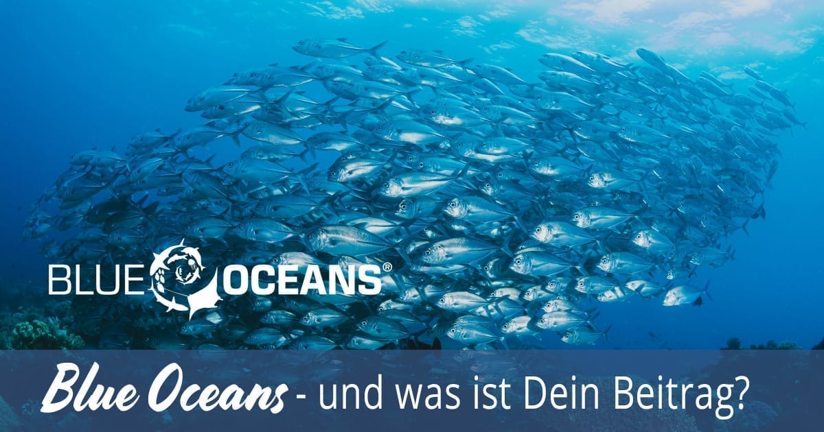 Blue Oceans und was ist Dein Beitrag