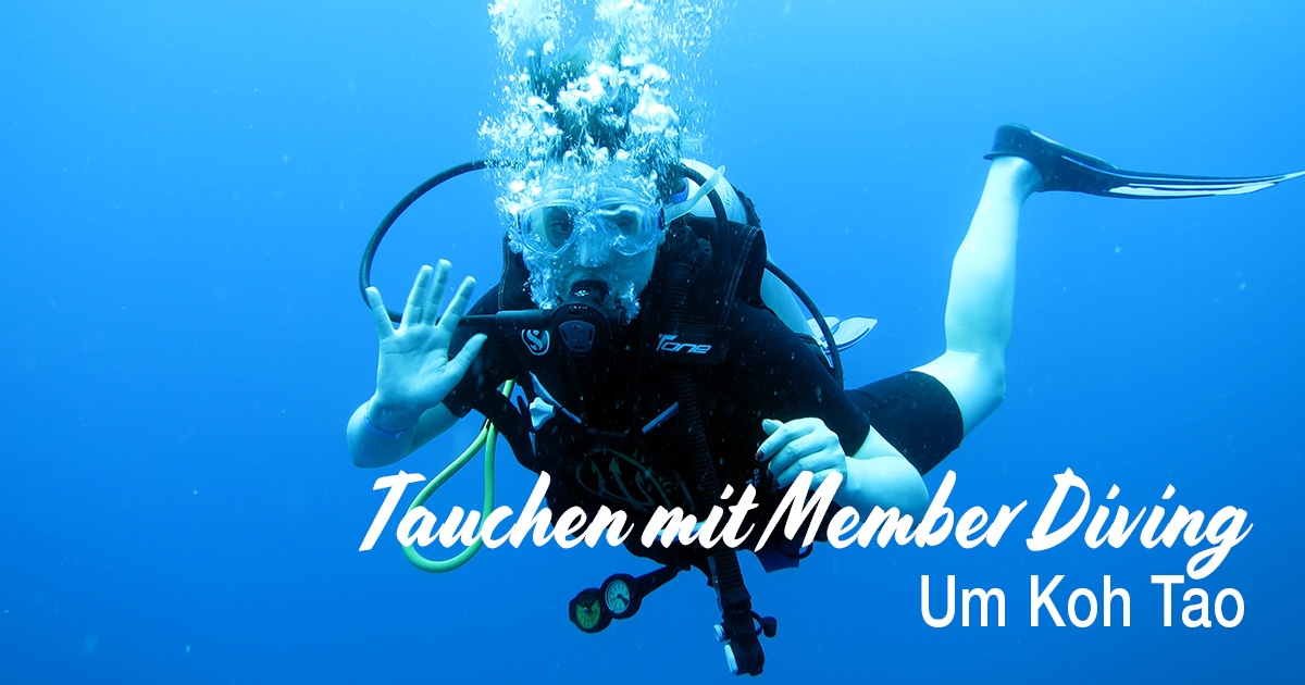 Tauchen mit Member Diving, um Koh Tao