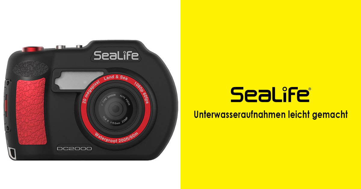 Sealife - Unterwasseraufnahmen leicht gemacht