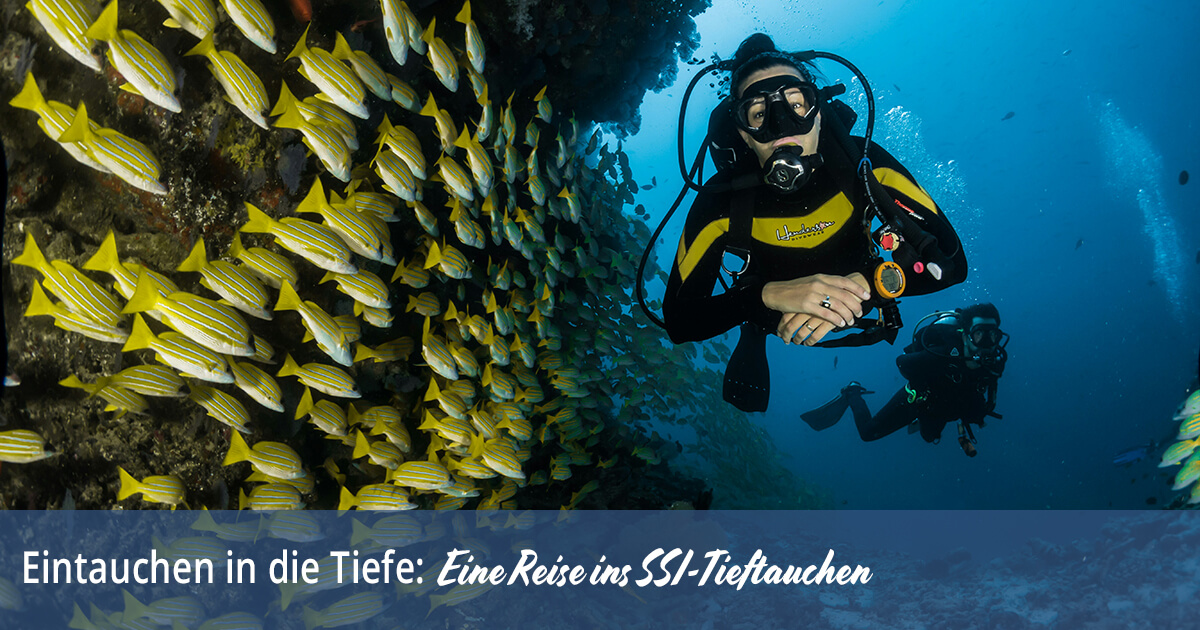 Eintauchen in die Tiefe Eine Reise ins SSI-Tieftauchen