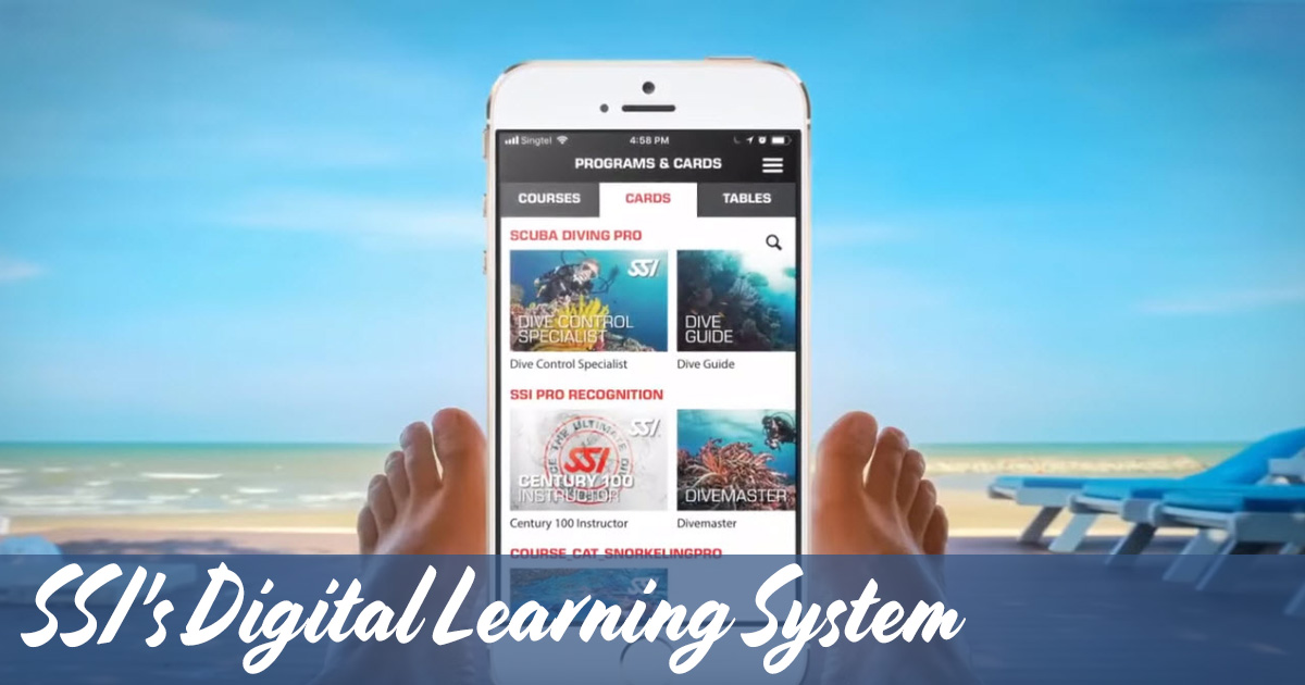 SSI's Digital Learning System