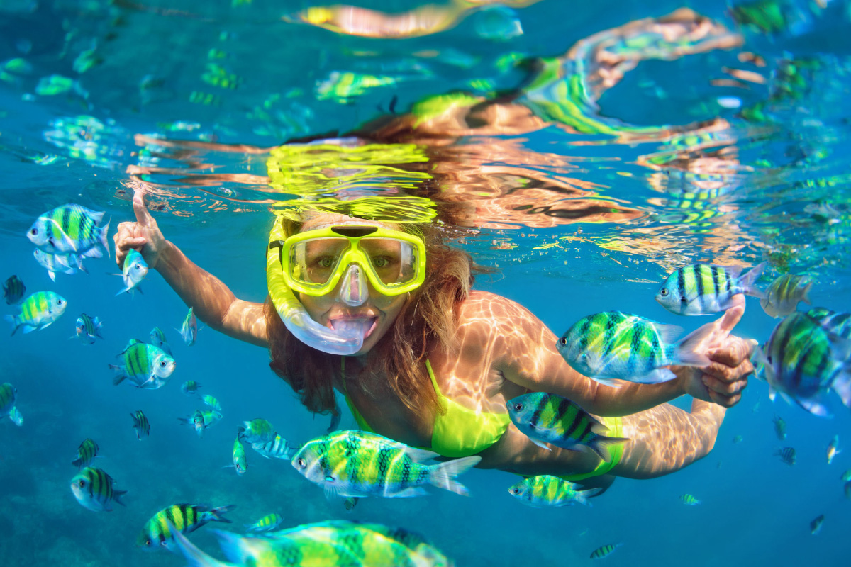 Private Snorkel and Beach Tour on the pig island