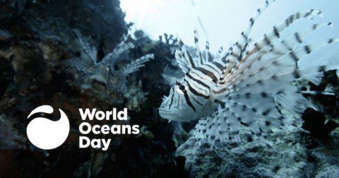World Oceans Day 2020