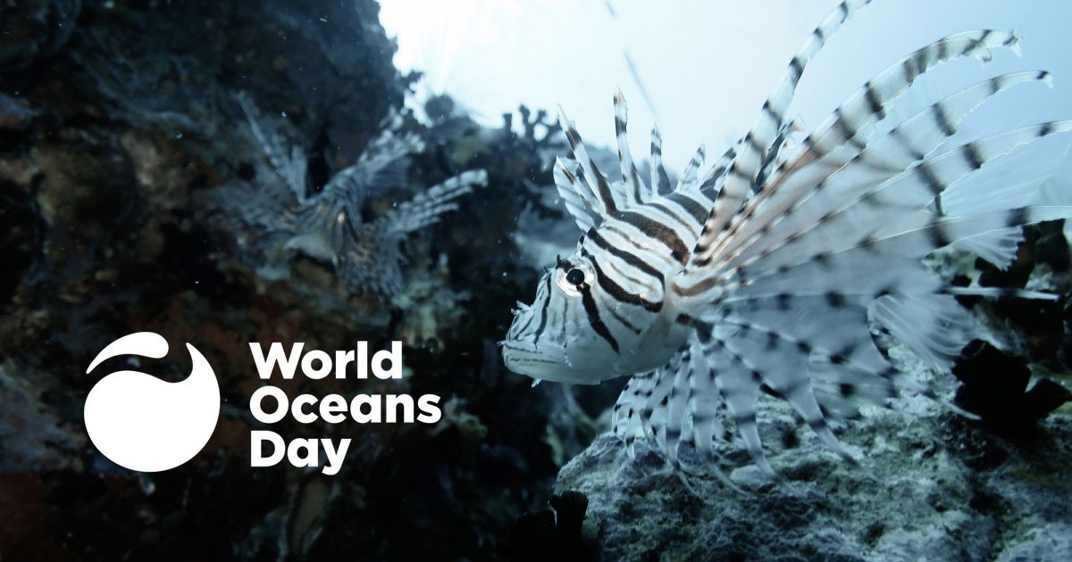 World Ocean Day 2020