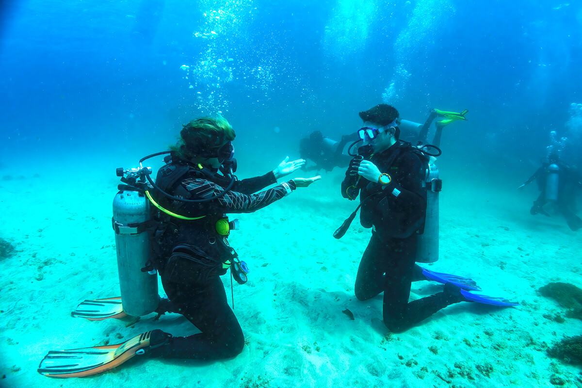 Discover Scuba Diving in Koh Samui Discover Scuba Diving in Koh Samui