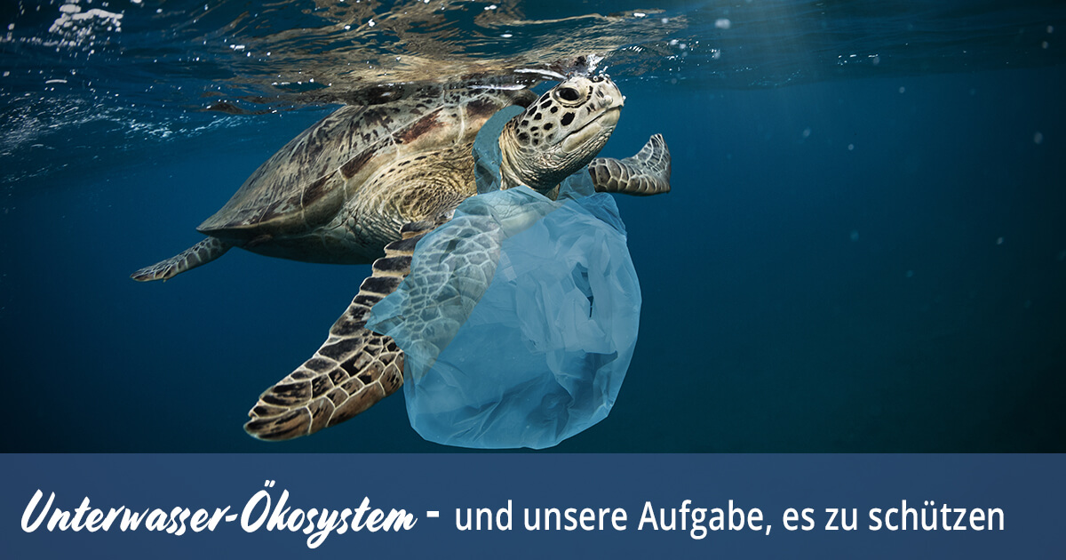 Das Unterwasser-Ökosystem und unsere Aufgabe, es zu schützen