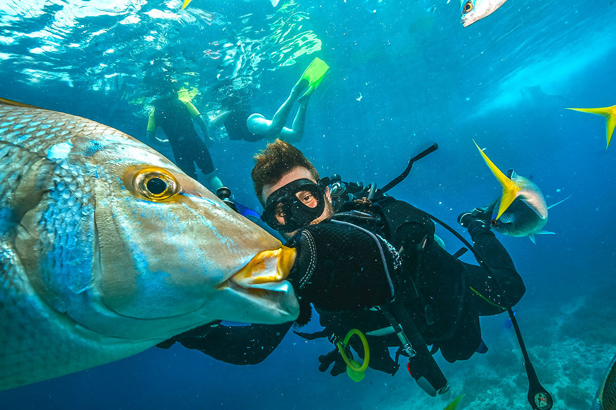 Der SSI Open Water Diver Kurs