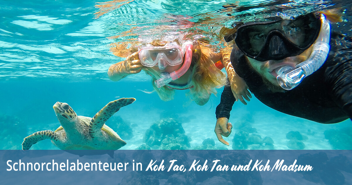 Schnorchelabenteuer in Koh Tao, Koh Tan und Koh Madsum