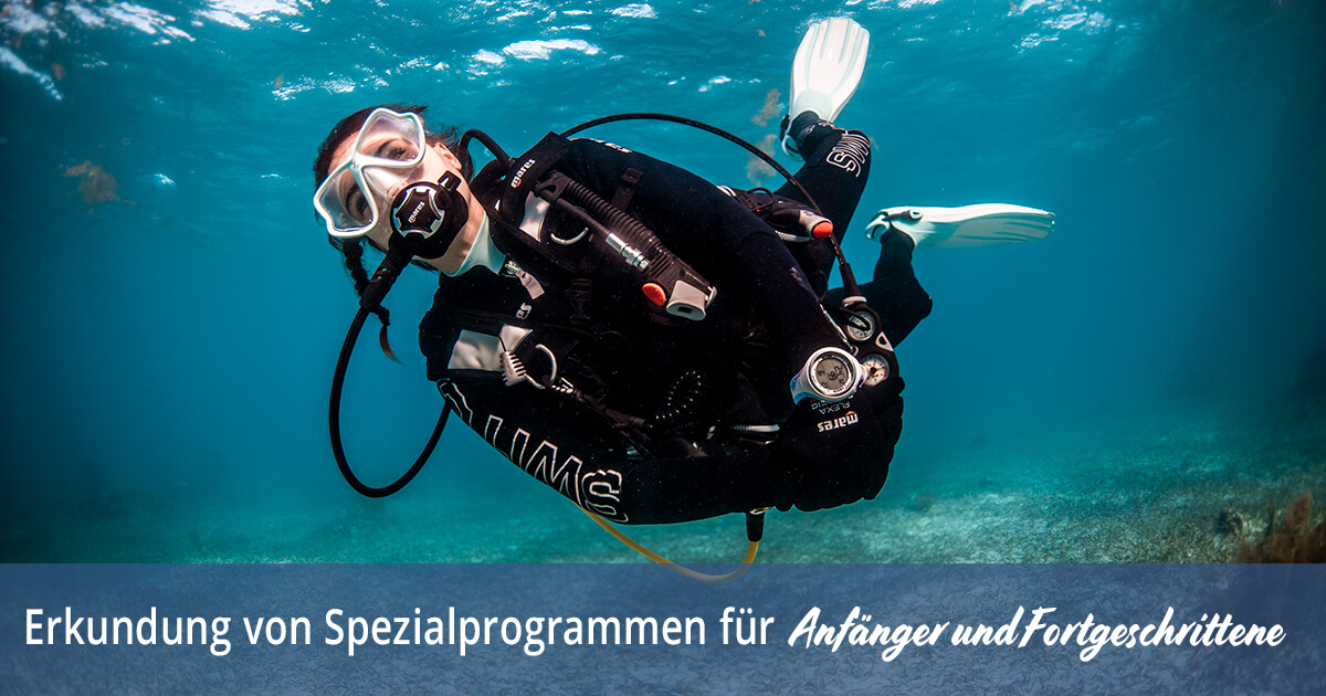Erkundung von Spezialprogrammen für Anfänger und Fortgeschrittene