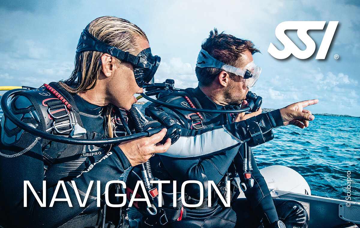 Navigation Navigation