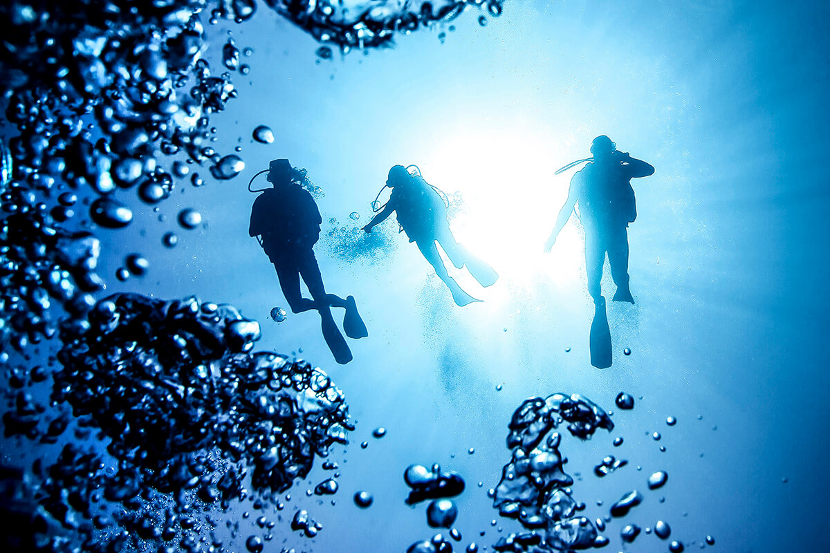 Start your scuba journey as a beginner. Start your scuba journey as a beginner.