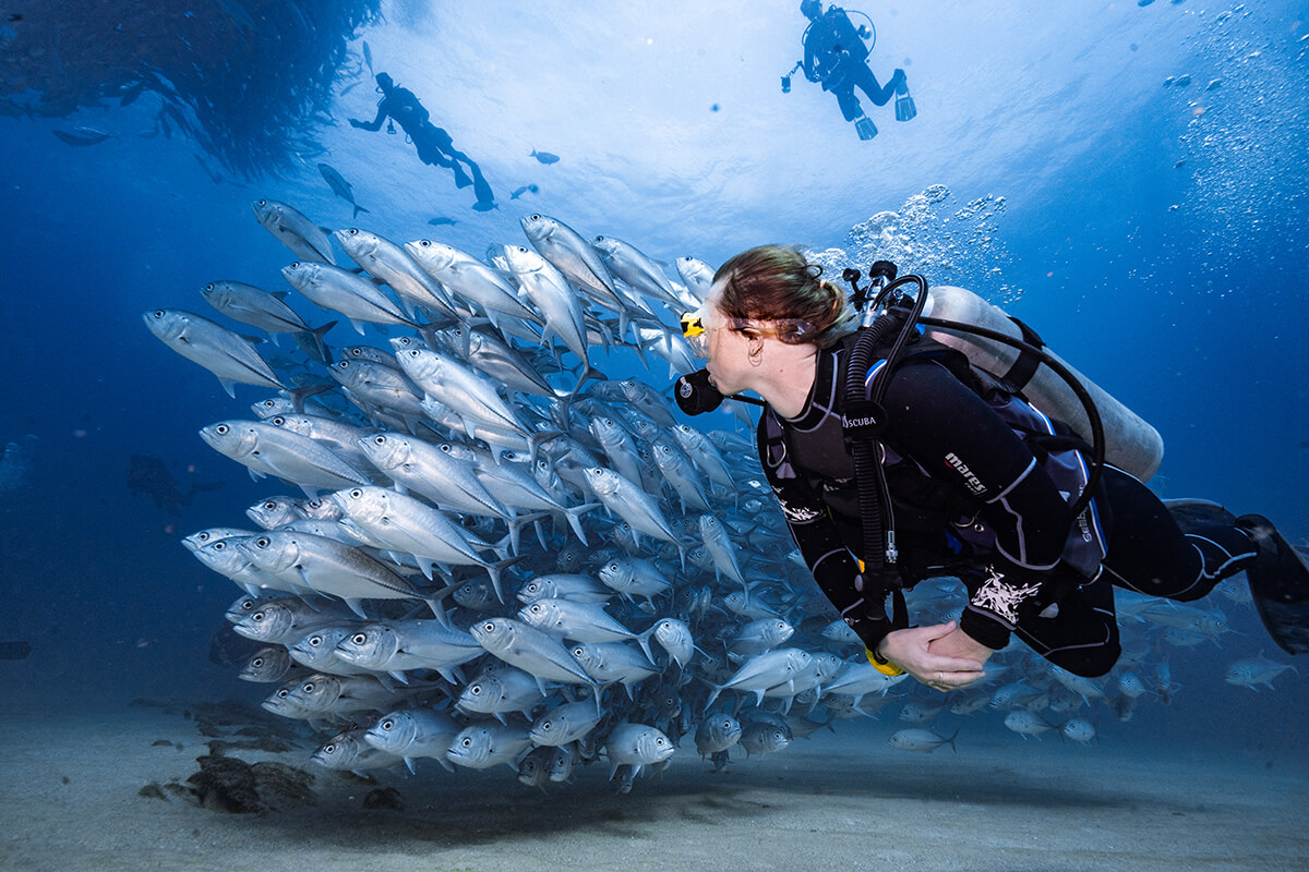 Why go scuba diving in 2025? Why go scuba diving in 2025?